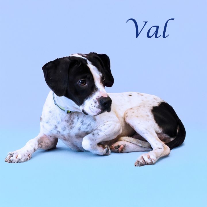 Val D25-072 5
