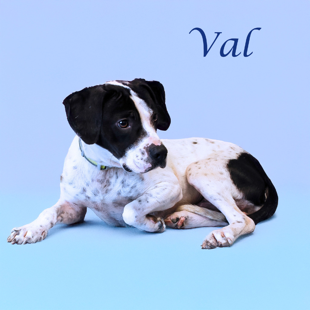 Val D25-072 Photo
