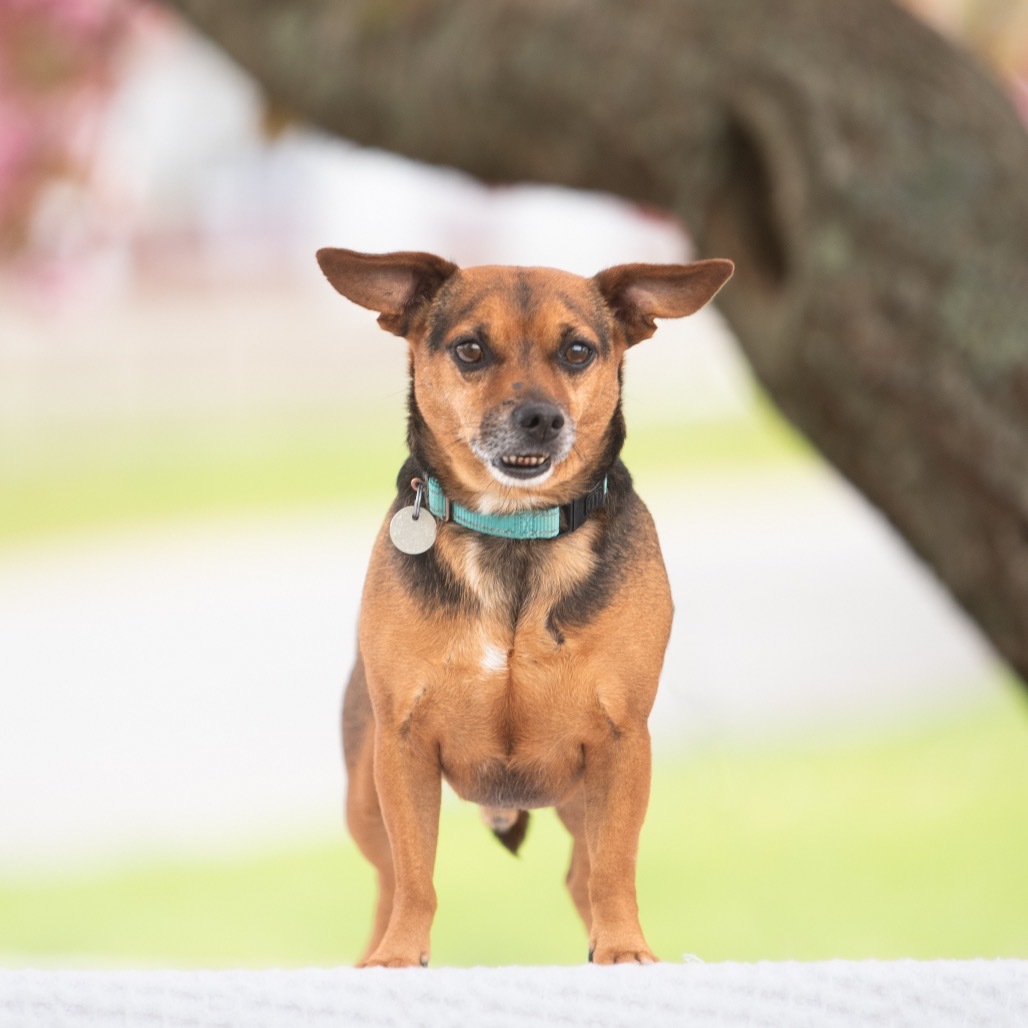 Max