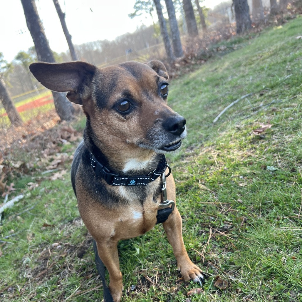 Max
