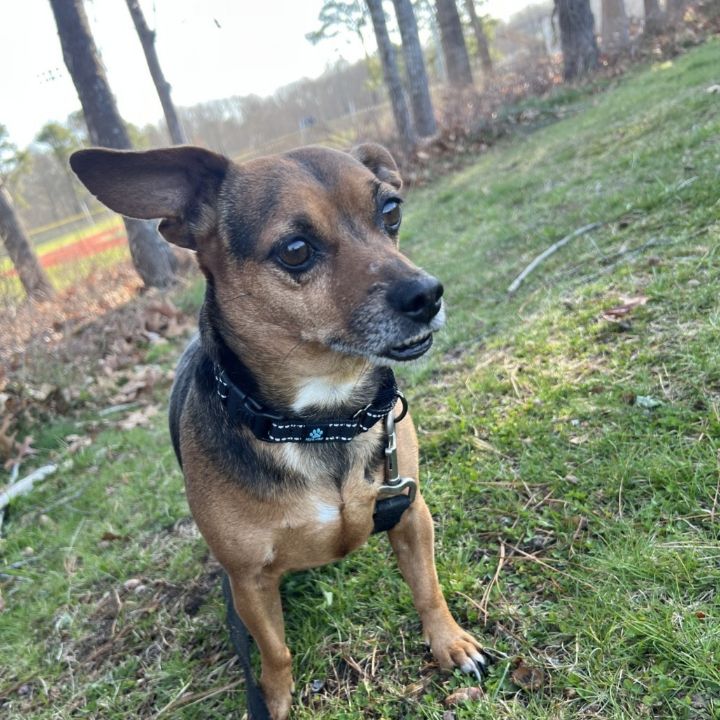 Max 2