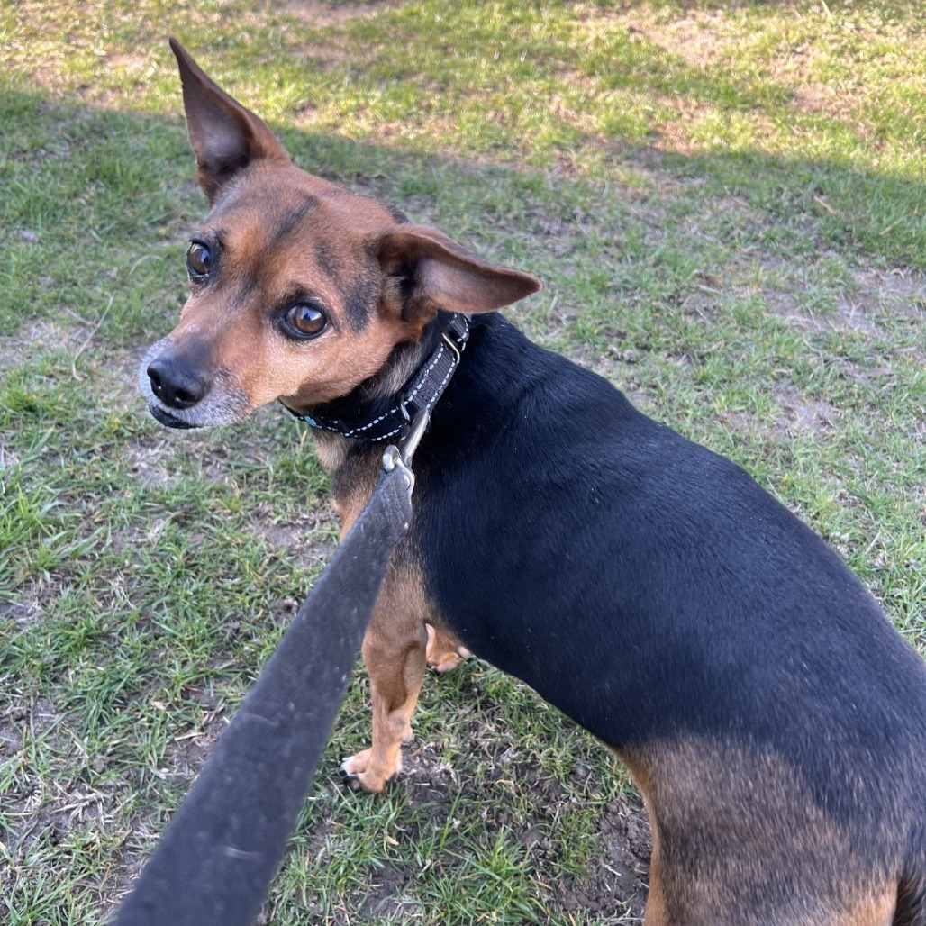 Max