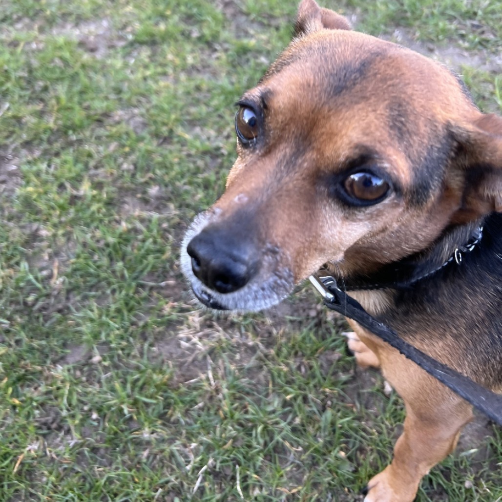 Max