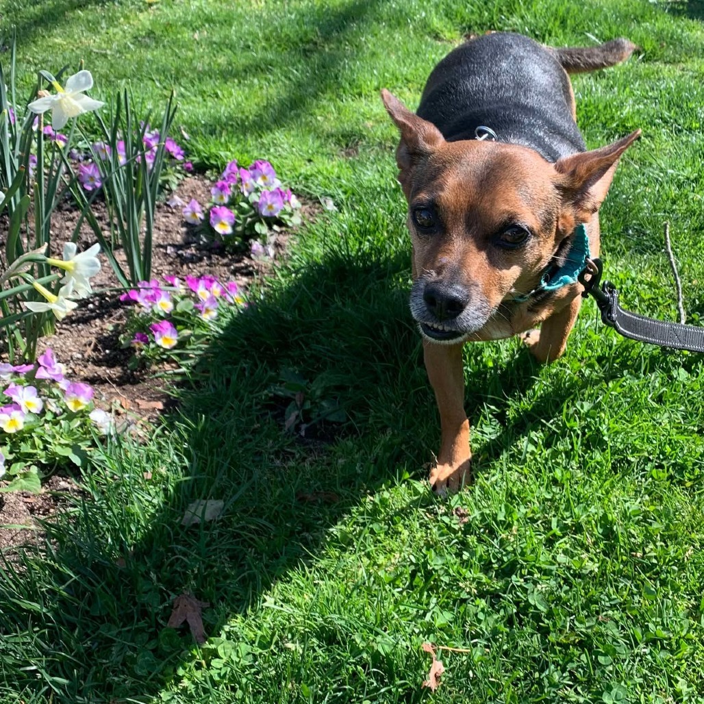 Max