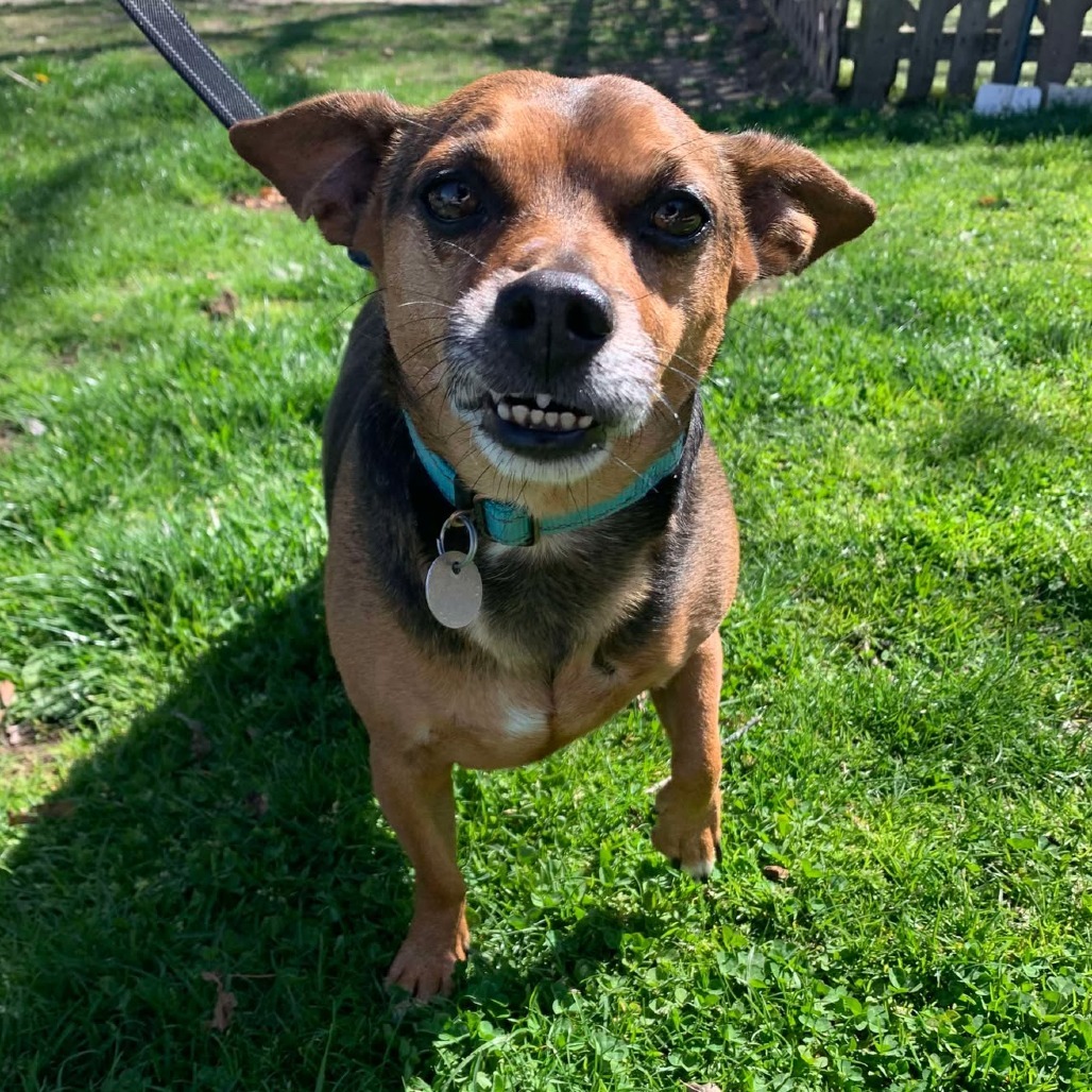 Max