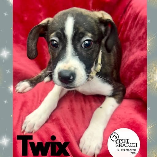Twix