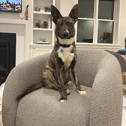 Bonita