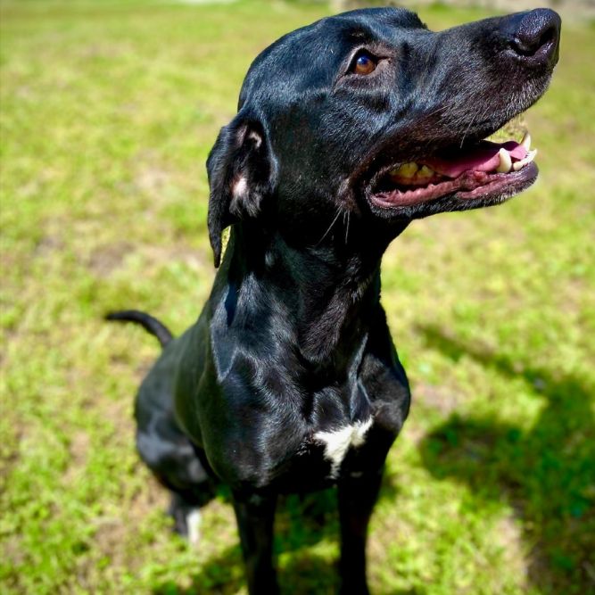 Xena