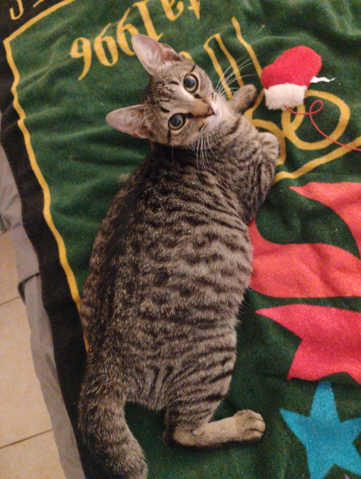 Bambi