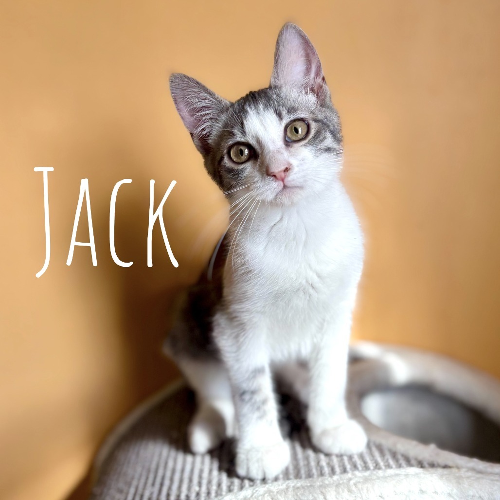 Jack