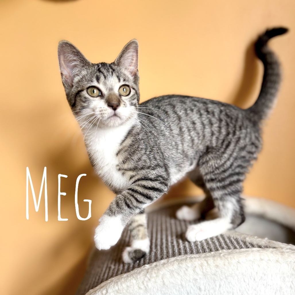 Meg