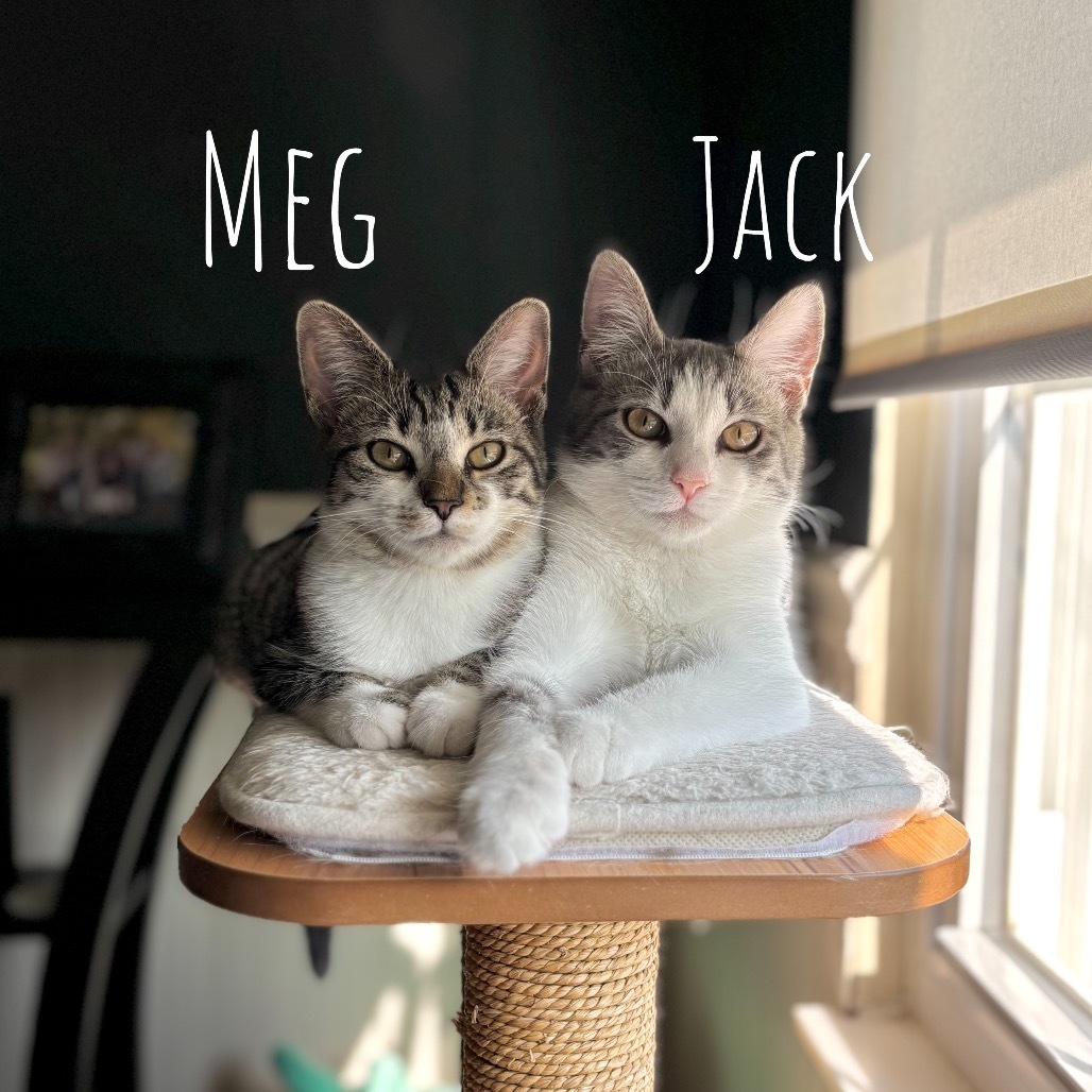 Meg