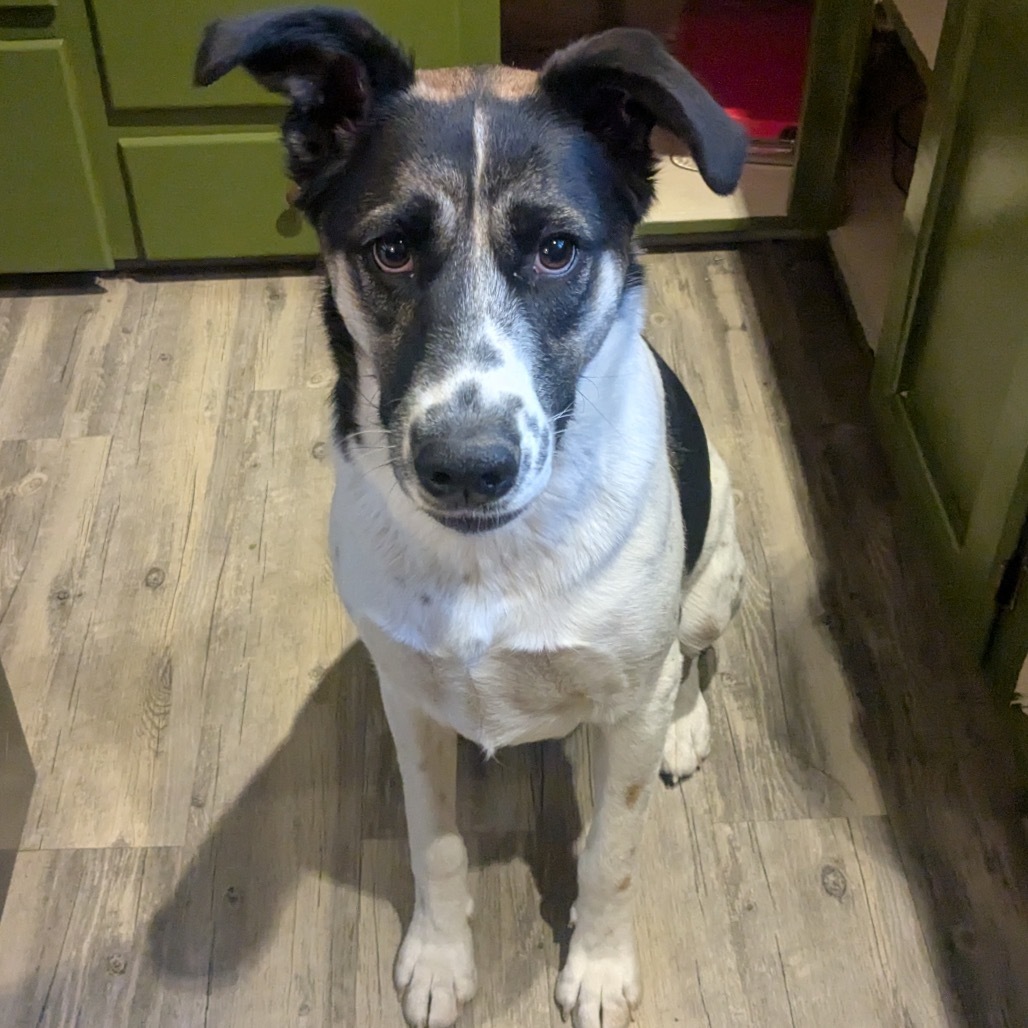 Fiona