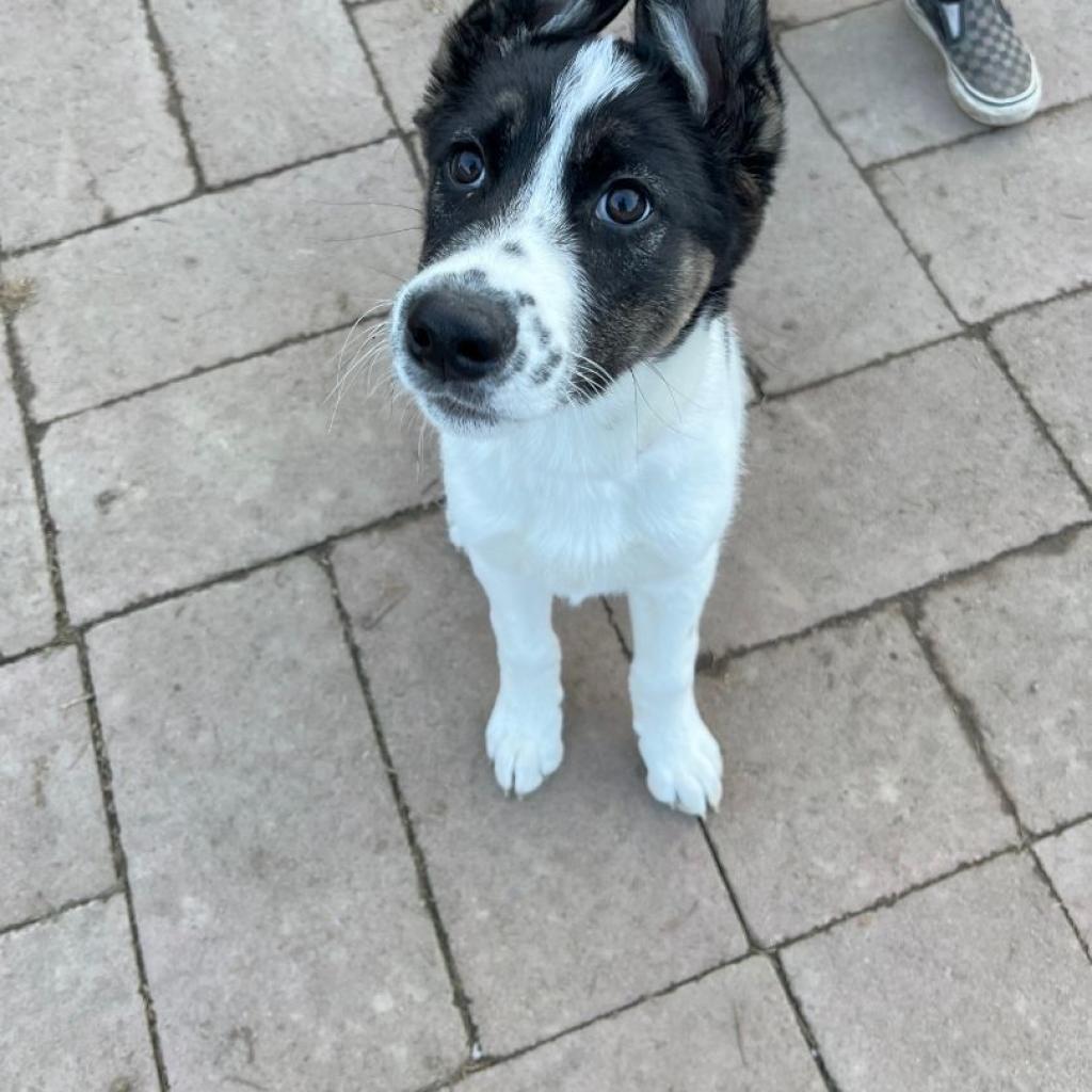Fiona