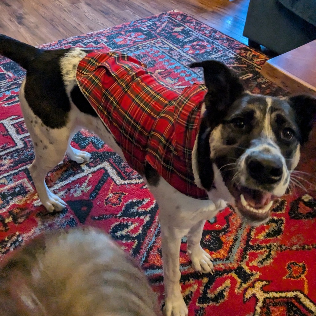 Fiona