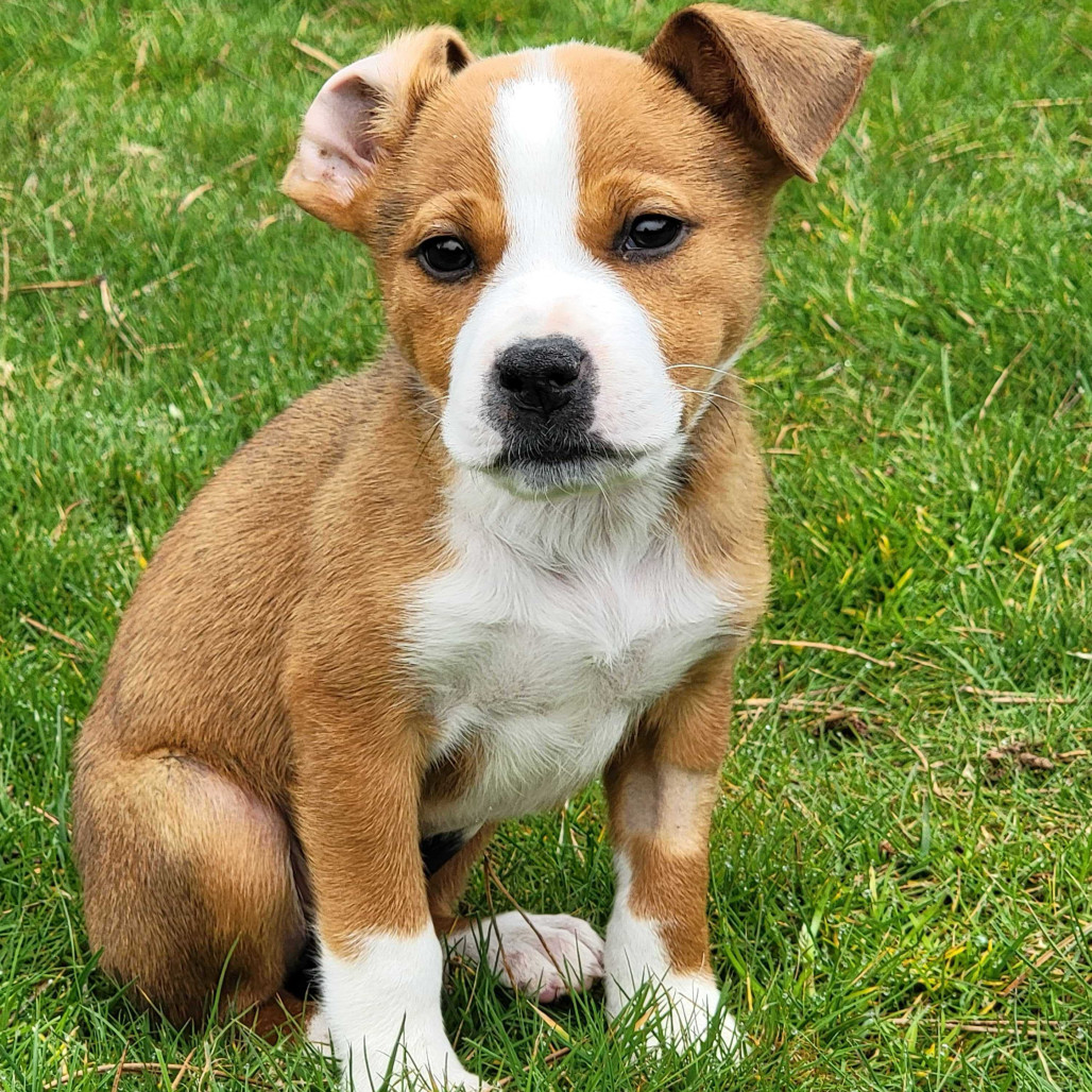 Ellie