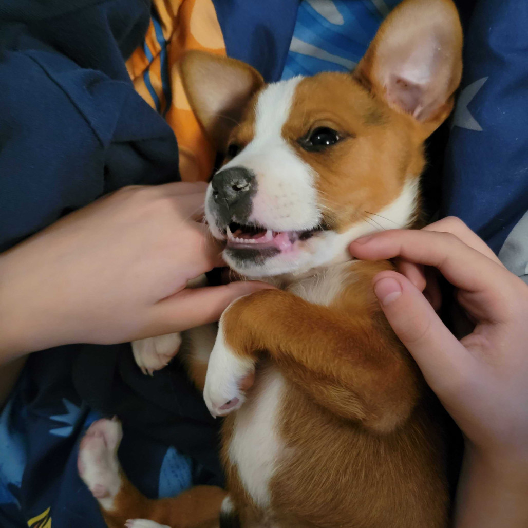 Ellie