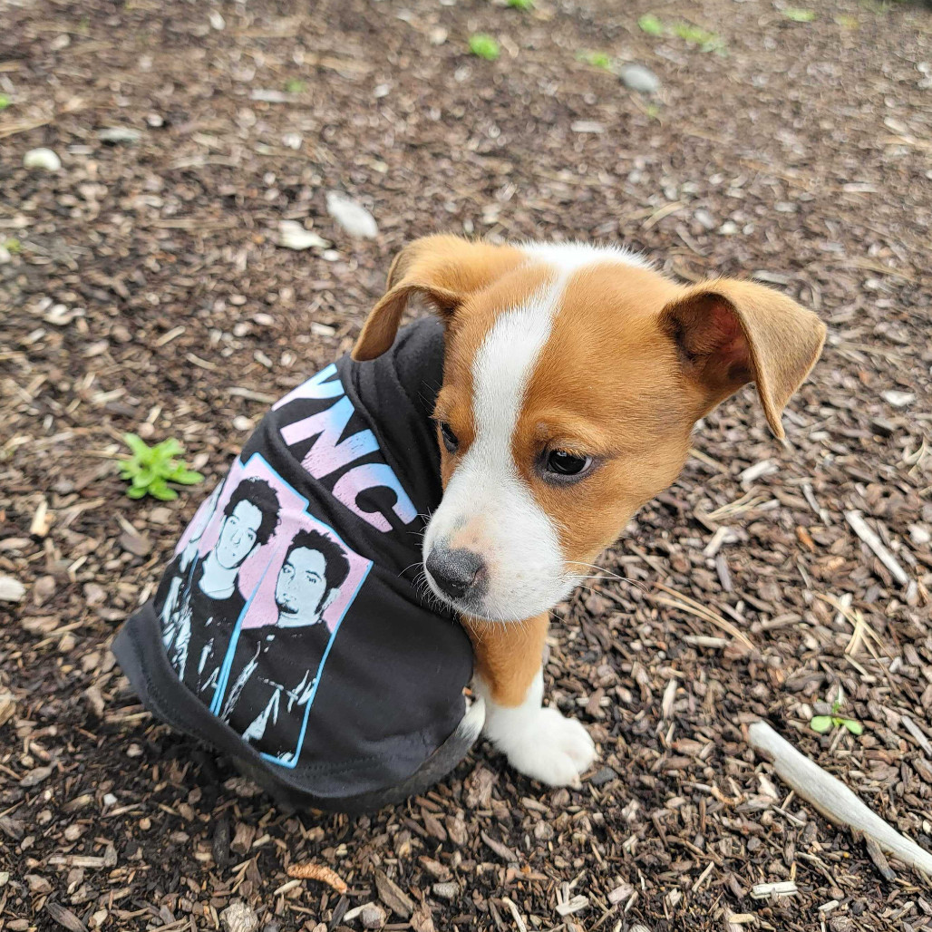Ellie