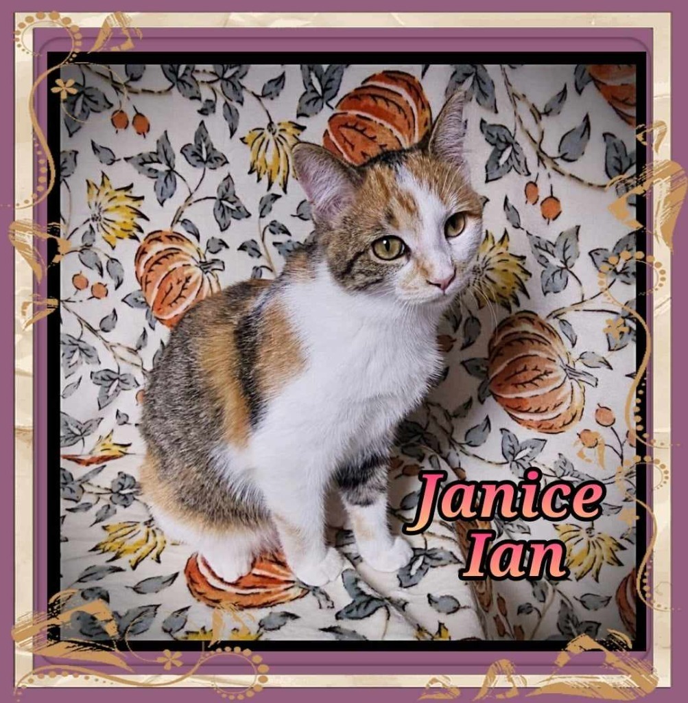 Janice Ian