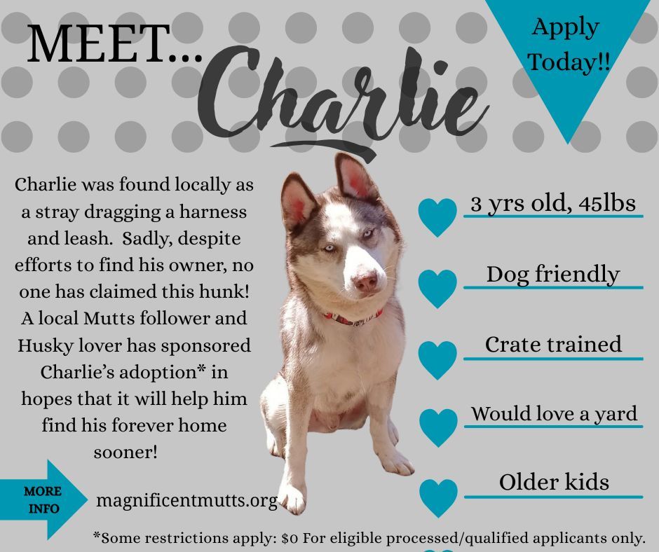 Charlie 25