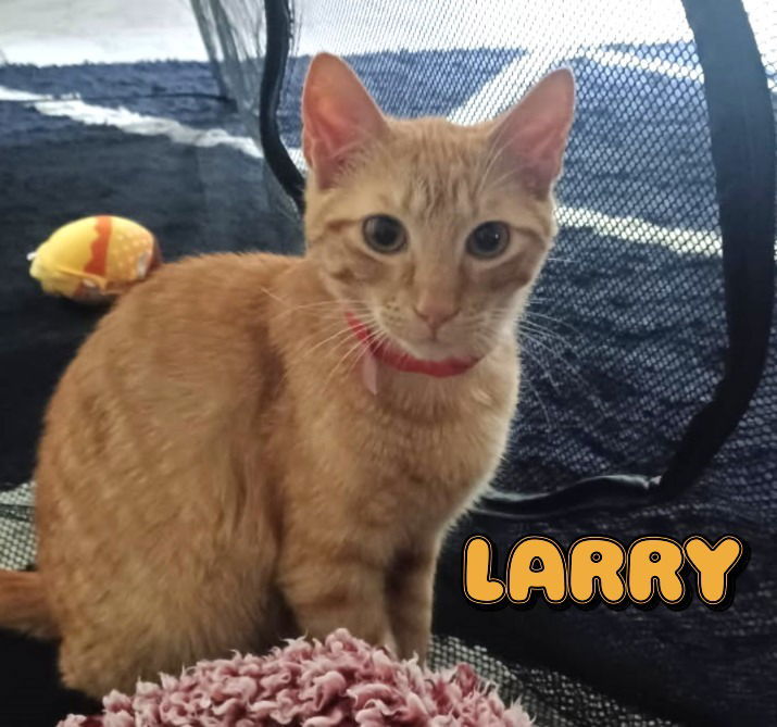 Larry #Seinfeld-crew