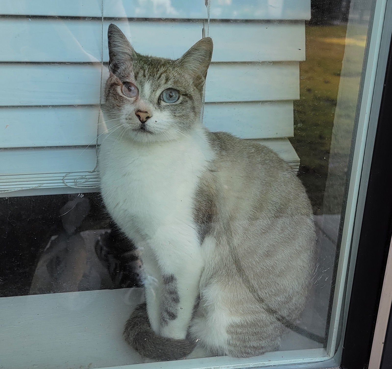 Princess #seeks-attention