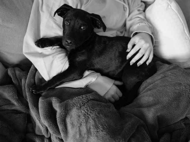 Opie