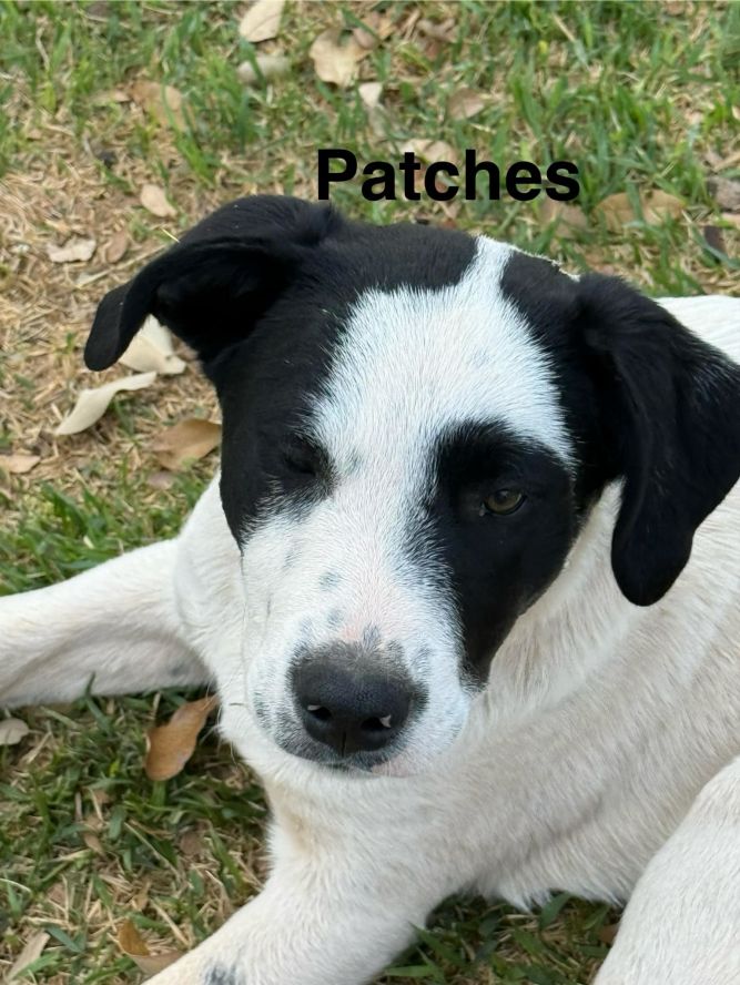 Patches