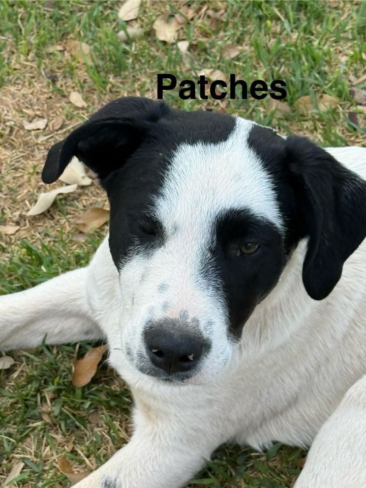 Patches 1