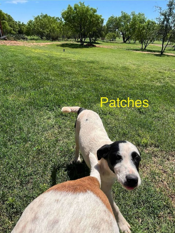 Patches 2