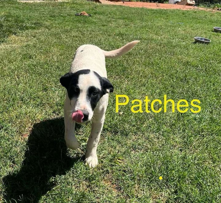 Patches 3