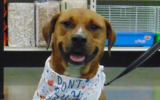 Scooby