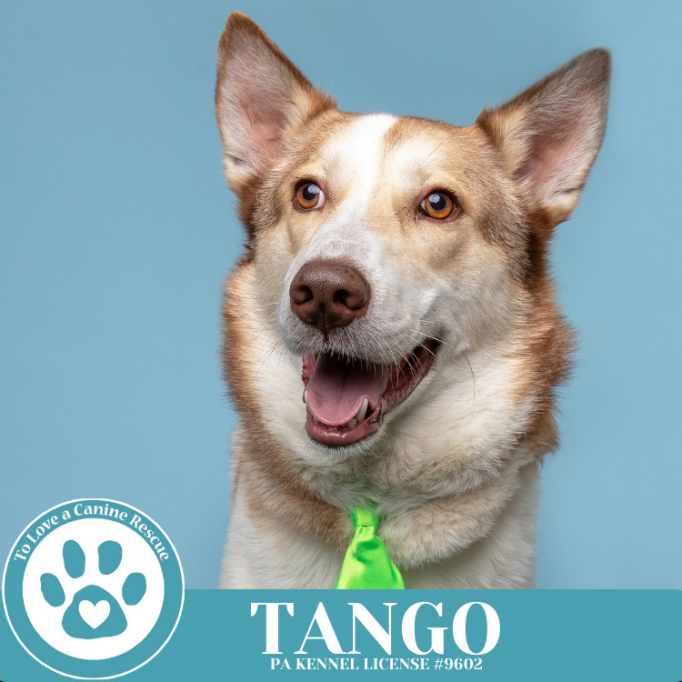 Tango 041925