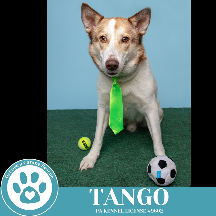 Tango 041925