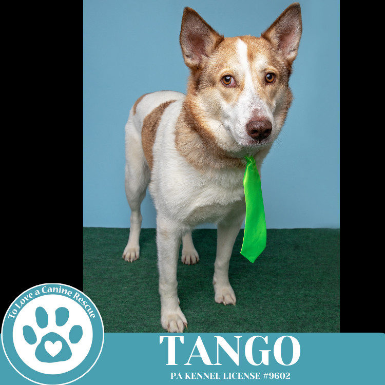 Tango 041925