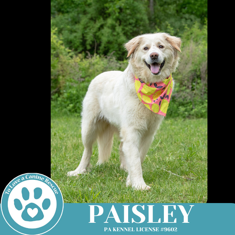 Paisley (mom to Paisley's Poppets) 041925