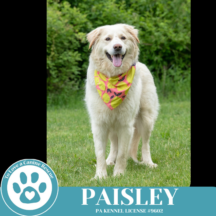 Paisley (mom to Paisley's Poppets) 041925