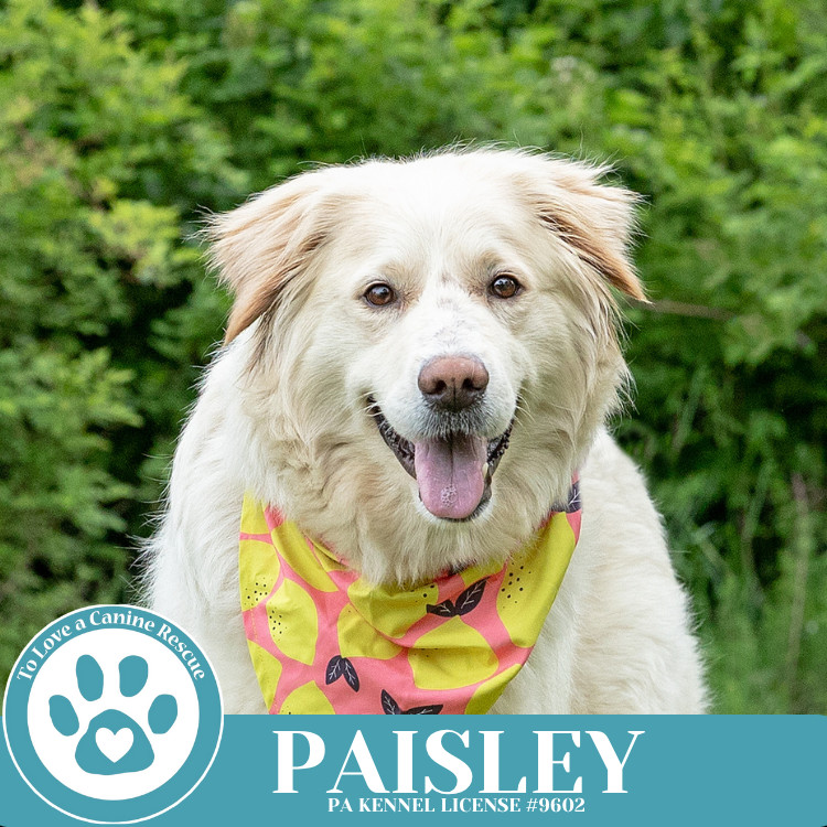 Paisley (mom to Paisley's Poppets) 041925