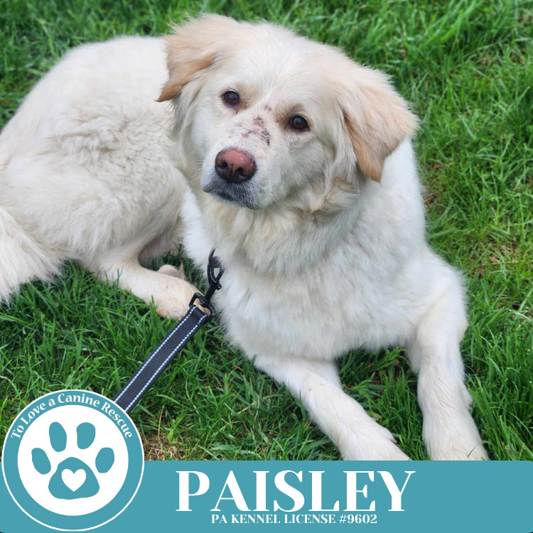 Paisley (mom to Paisley's Poppets) 041925