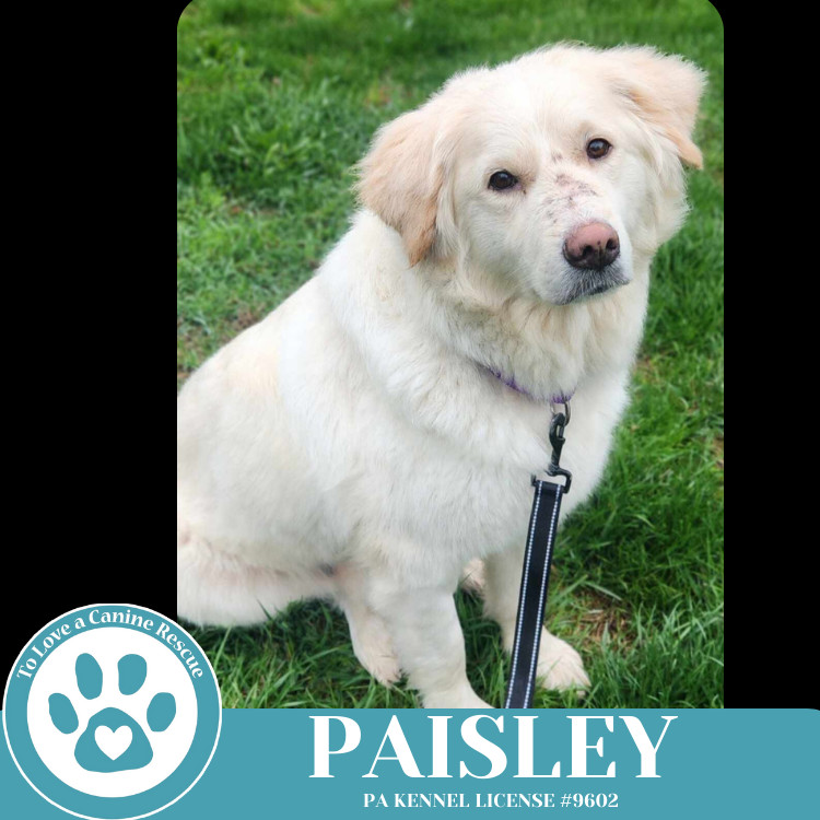 Paisley (mom to Paisley's Poppets) 041925