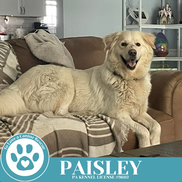 Paisley (mom to Paisley's Poppets) 041925