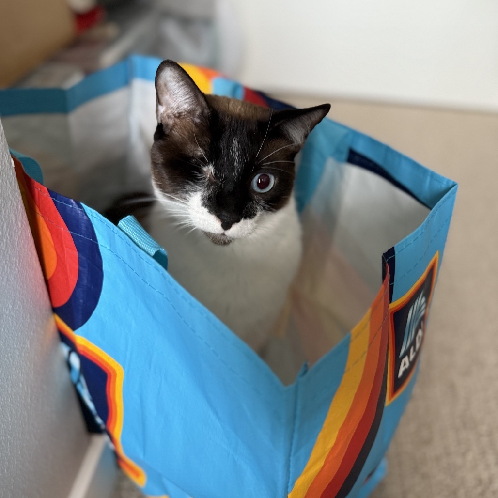 Jodhpurr