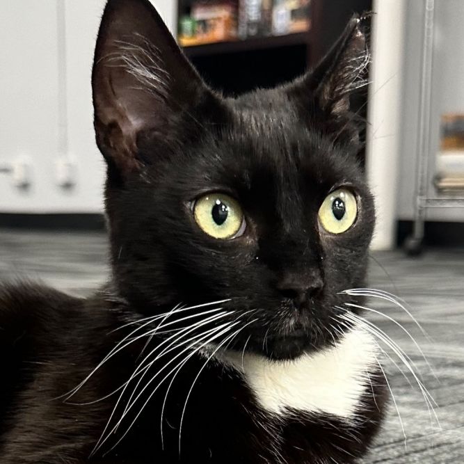 Tux