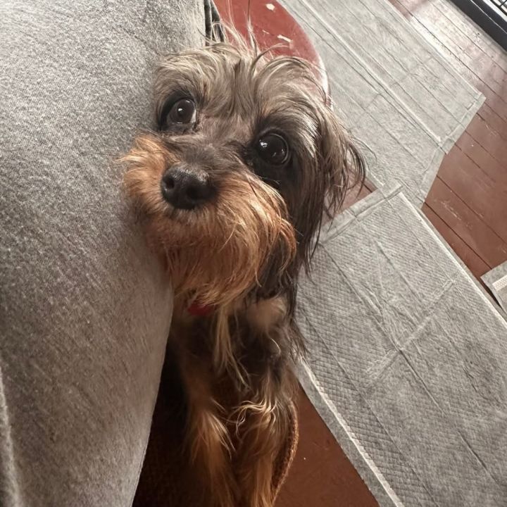 Max 1