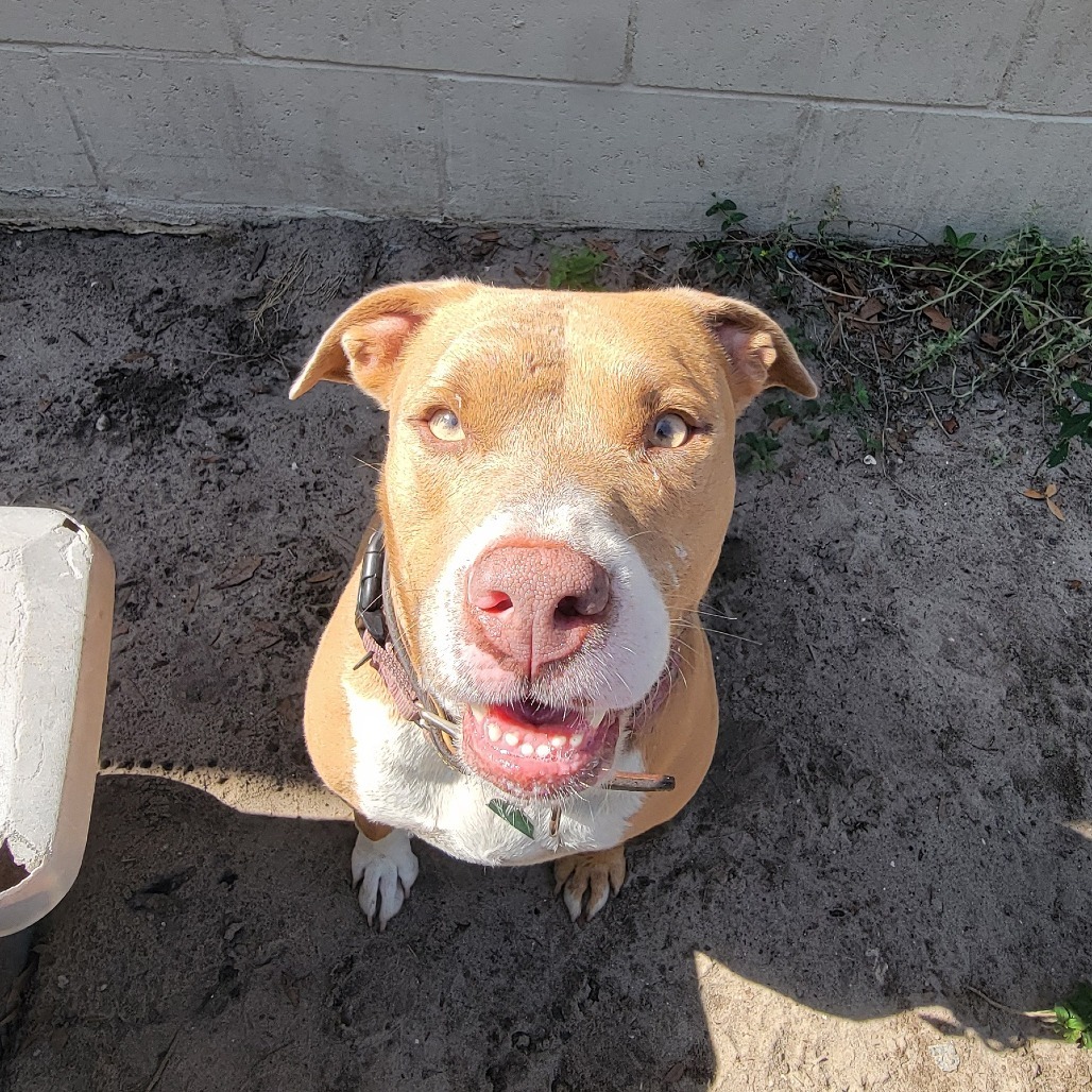 Fiona