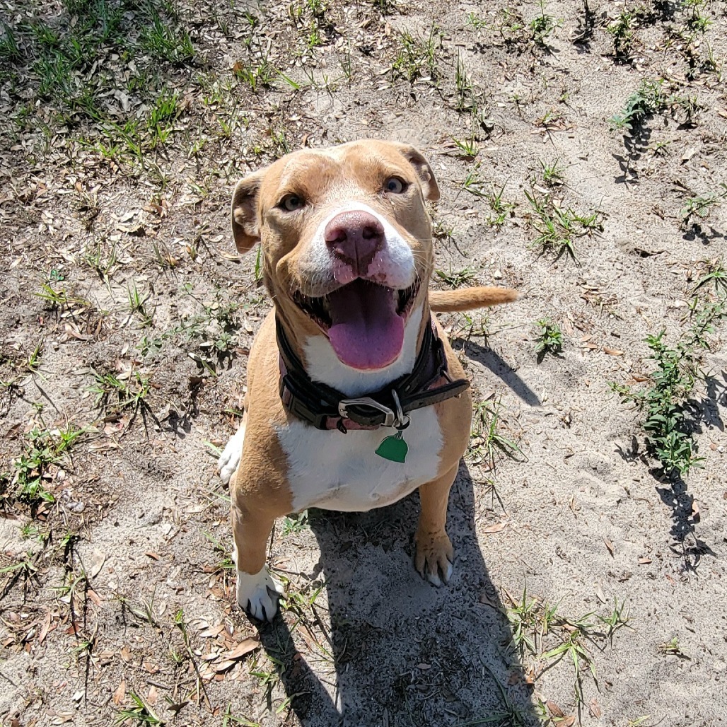 Fiona
