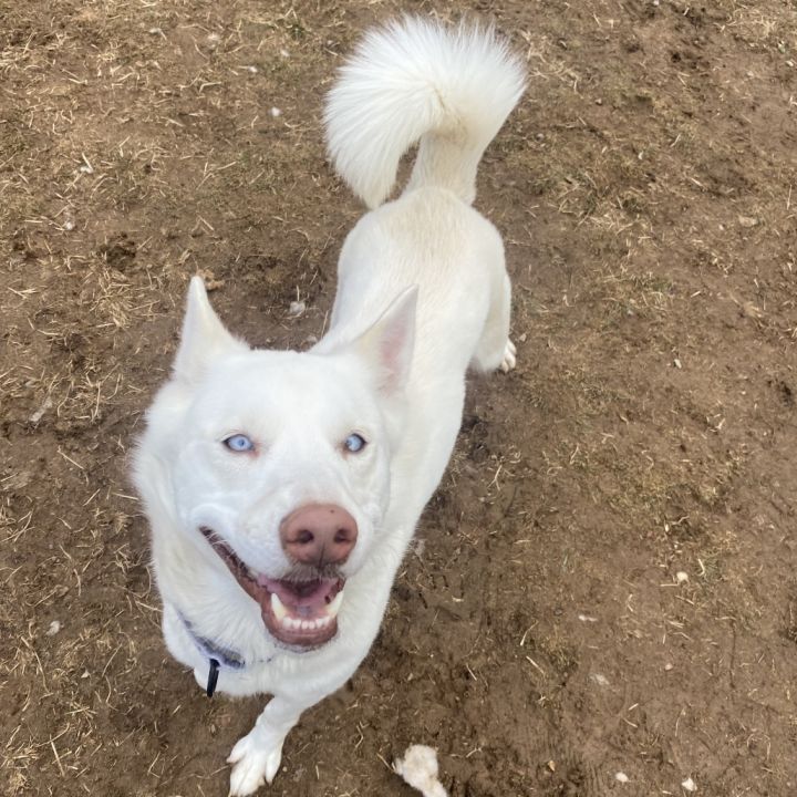 Mia 3