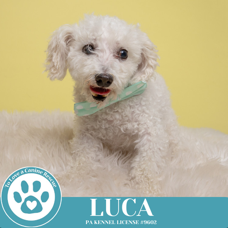 Luca 111624
