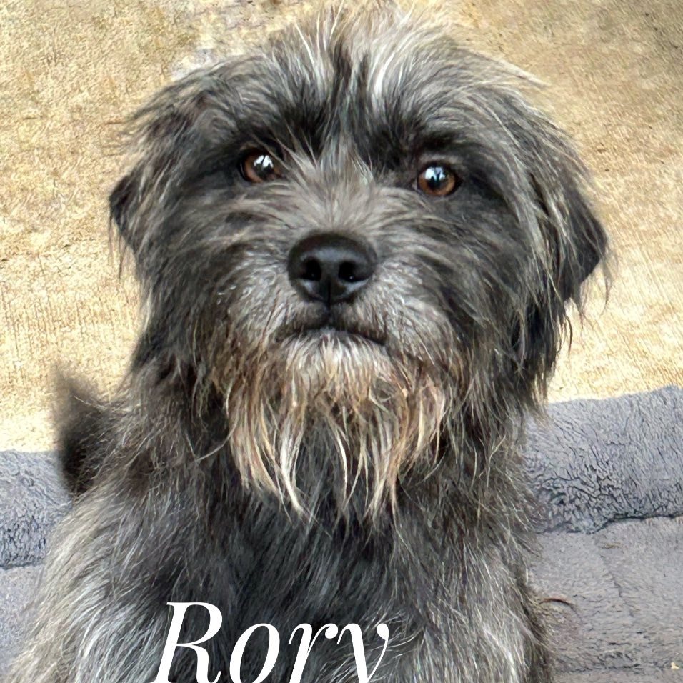 Rory