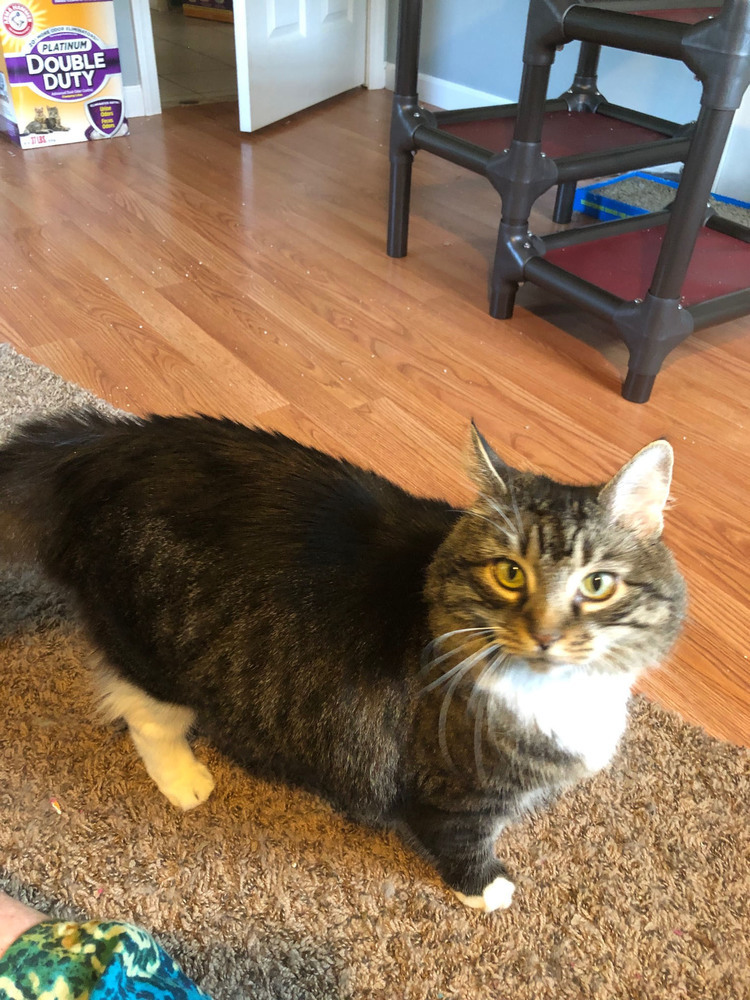 Tabitha
